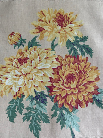 tee (chrysanthemum)